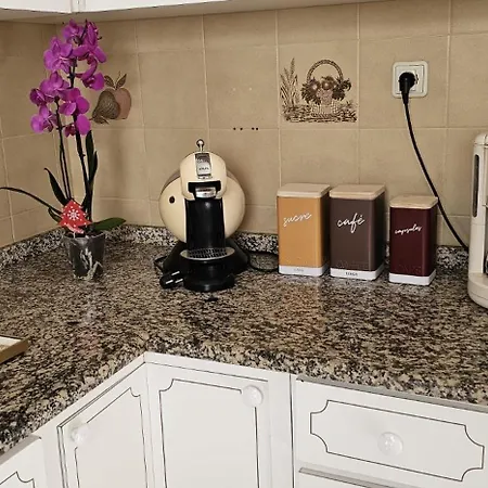 Дом отдыха Margarita House Фуншал